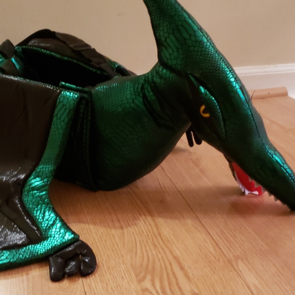 NWT Dragon Halloween Costume